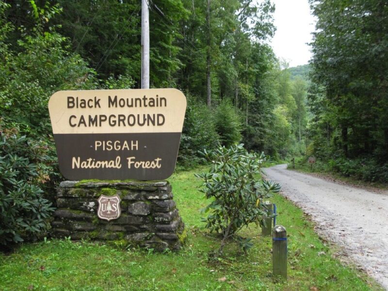 Black Mountain Campground Camping Info.