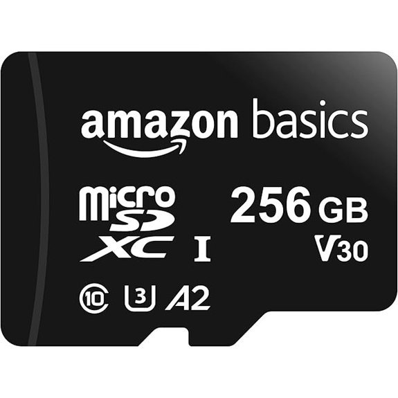 Amazon Basics Micro SDXC Memory Card (256GB)