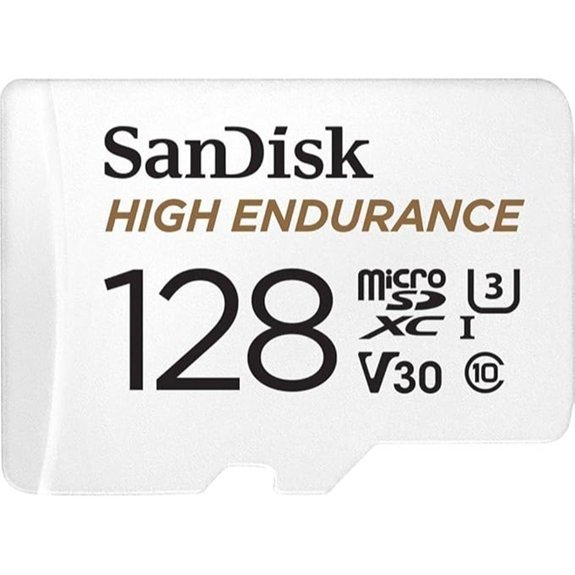 SanDisk 128GB High Endurance MicroSDXC Card