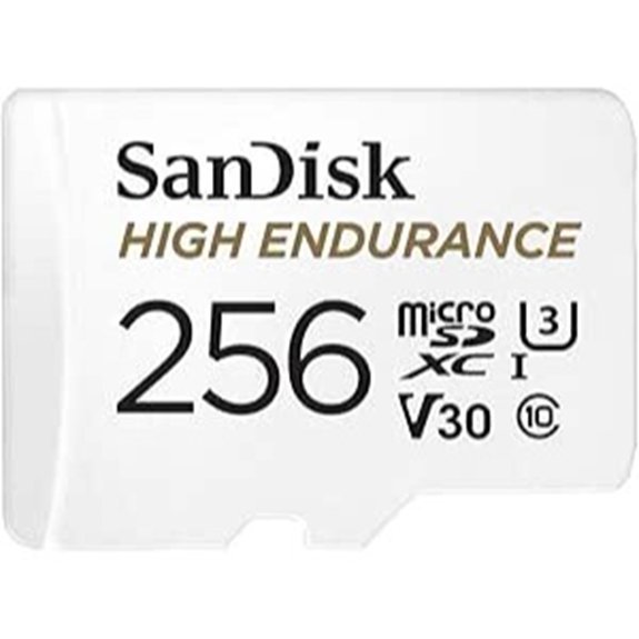 SanDisk 256GB High Endurance Video microSDXC Card