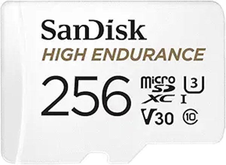 SanDisk 256GB High Endurance Video microSDXC Card