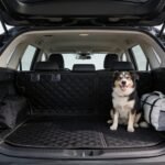 2026 rav4 dog covers