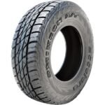 accelera omikron performance evaluation