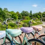 comfortable bike seats for women