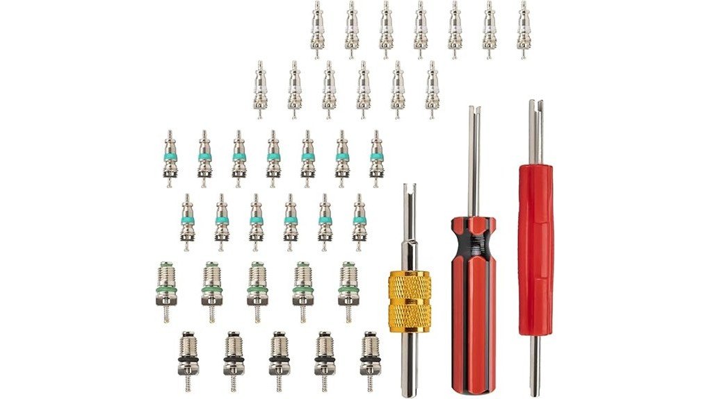 comprehensive valve core kit