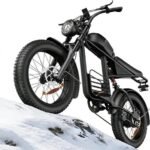 electric bike performance details