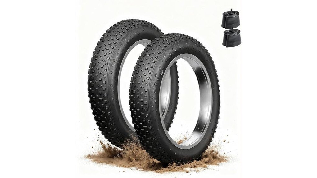 Fat Tire Electric Bike Tires Review