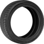 lionhart ramani a s review