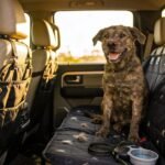 mess free truck dog cover