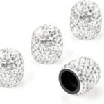 tire valve cap evaluation