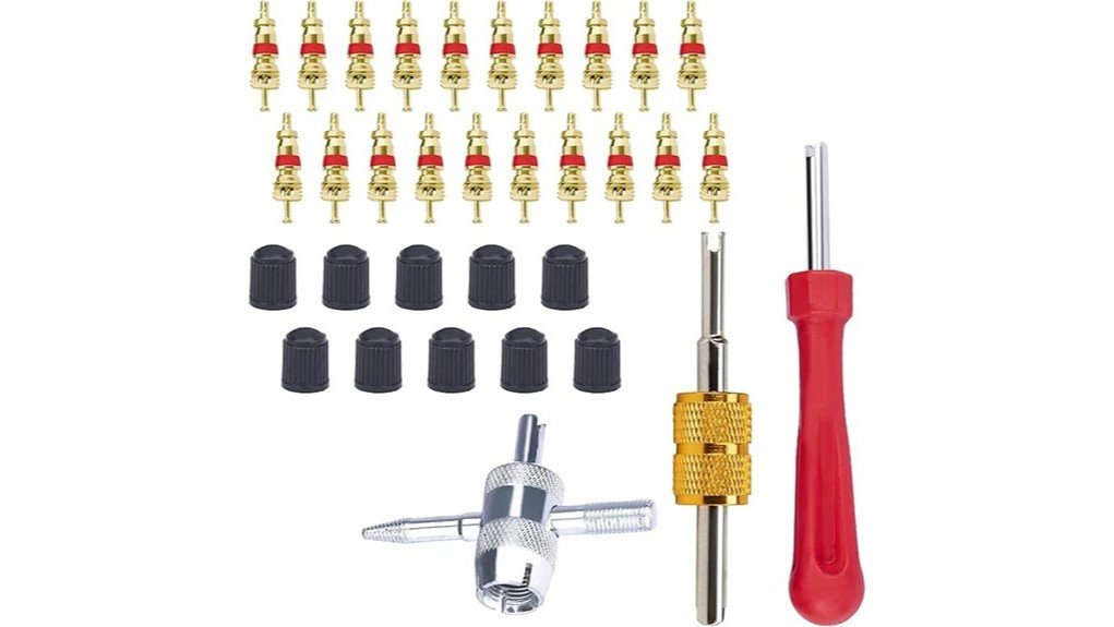 Ecocstm Tire Valve Stem Tool Review