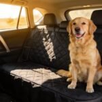 top rav4 dog covers