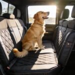 top truck dog seat covers