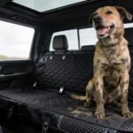 top truck pet covers