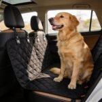 toyota rav4 dog seat covers