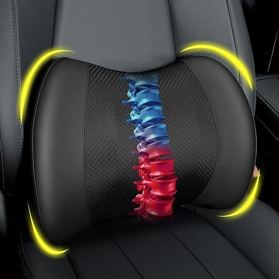 Lofty Aim Lumbar Support Pillow for Cars and Chairs