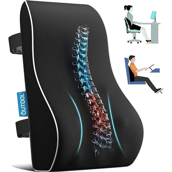 Lumbar Support Pillow for Chairs and Cars