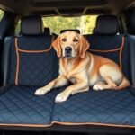 stylish luxury dog protection