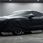 stylish mustang car protection